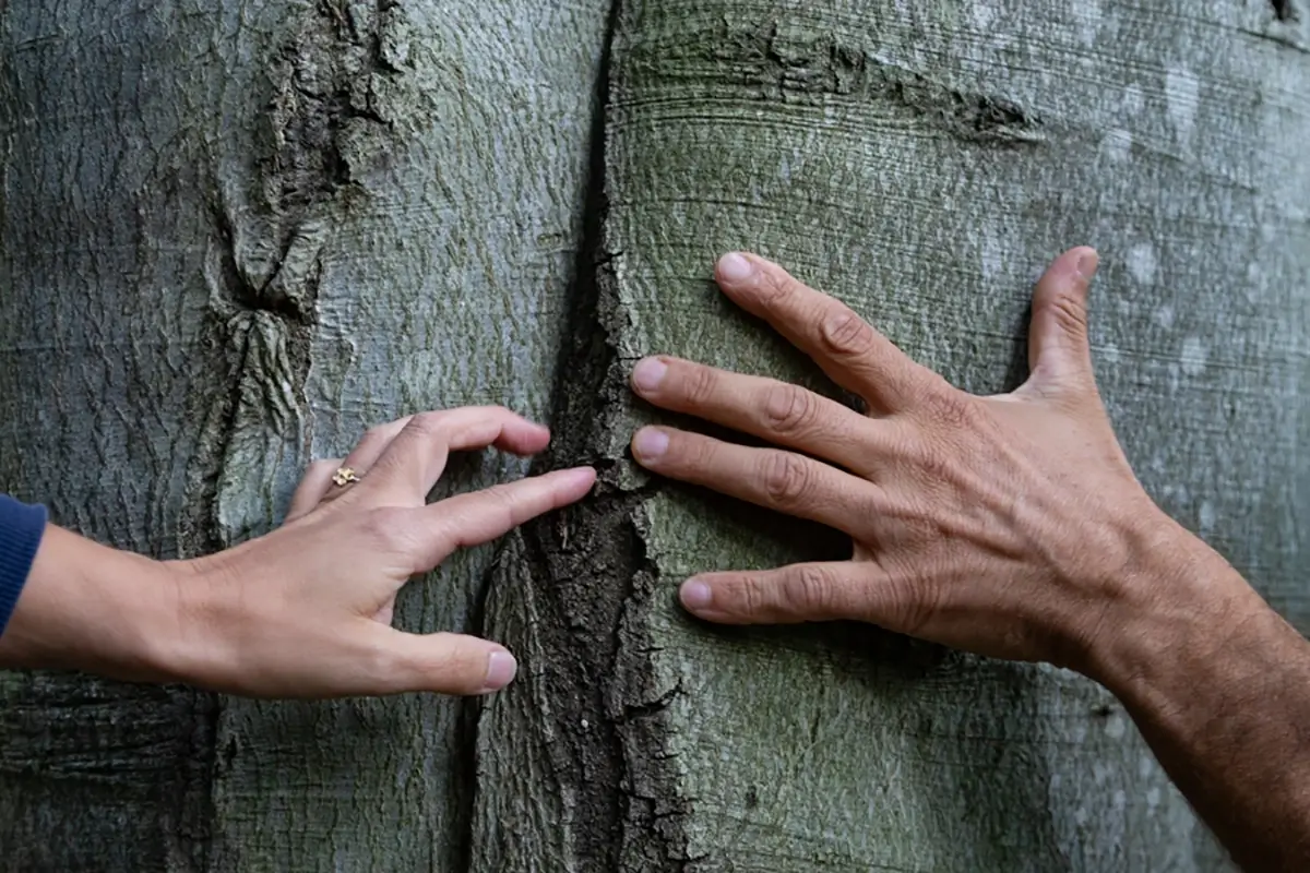 esperienza sensoriale